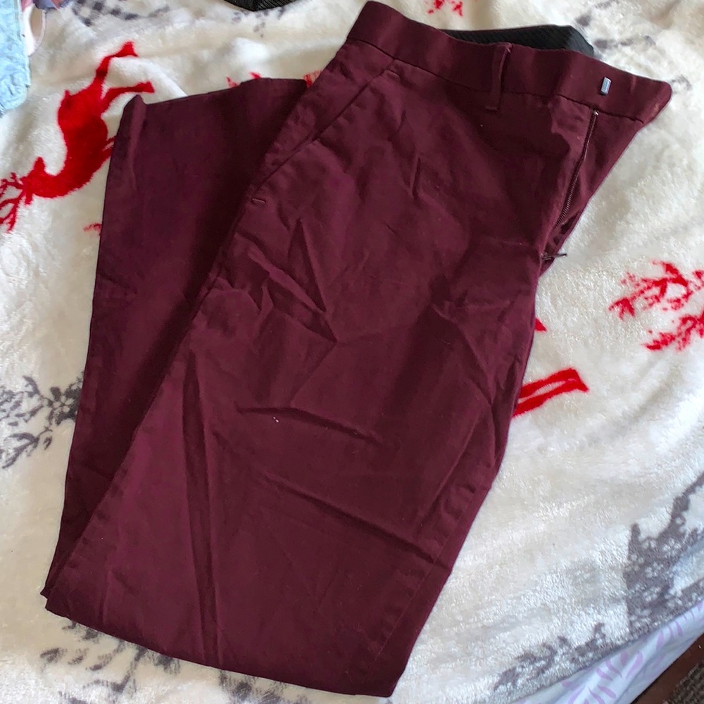 Express pants